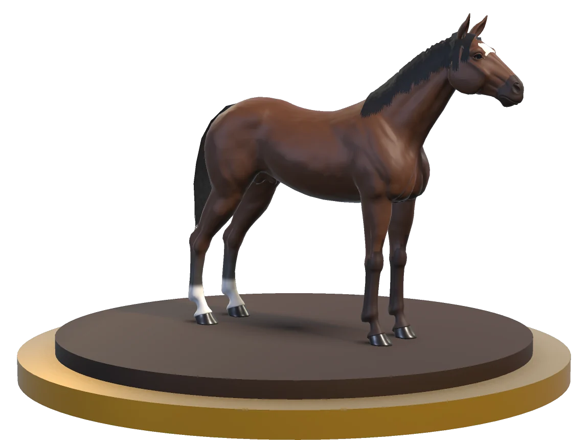 A bay racehorse