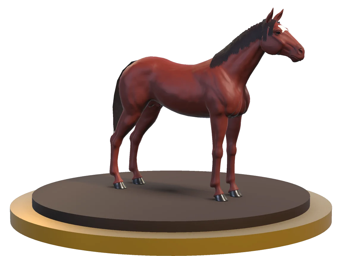 A chestnut racehorse
