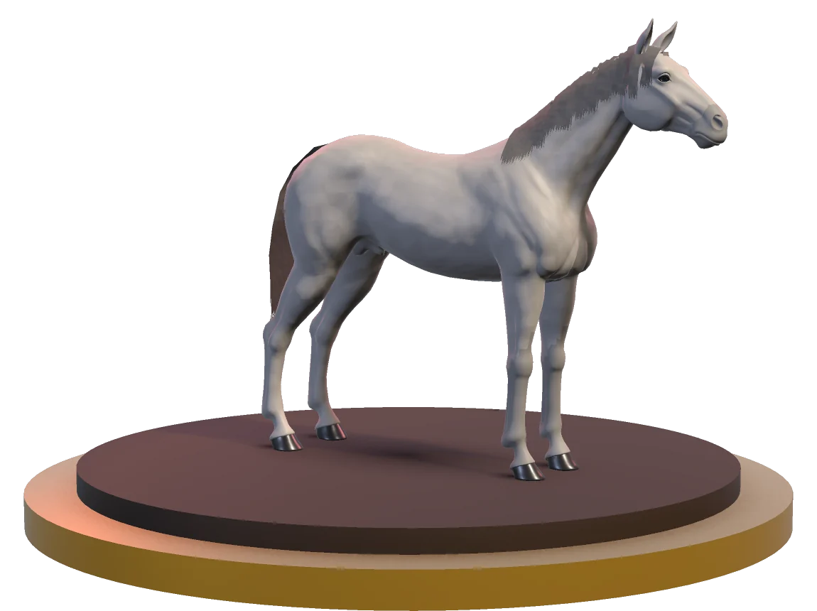 A grey racehorse