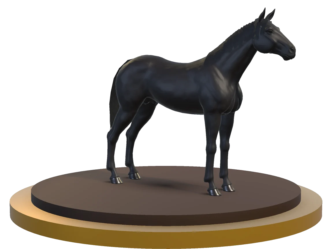 A black racehorse